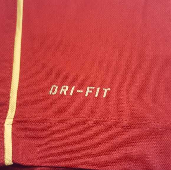 Nike Florida State Seminoles Dri Fit Polo Shirt - Picture 6 of 7